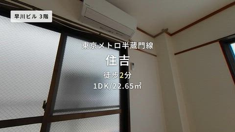 動画