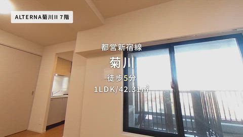 動画