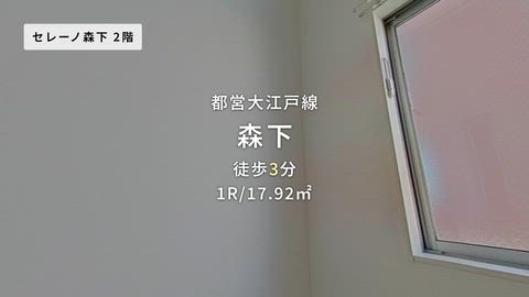 動画
