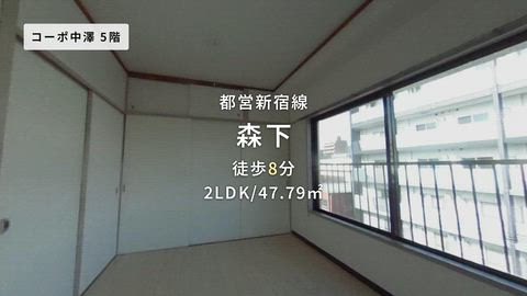 動画