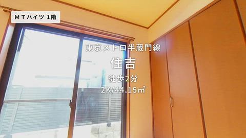 動画