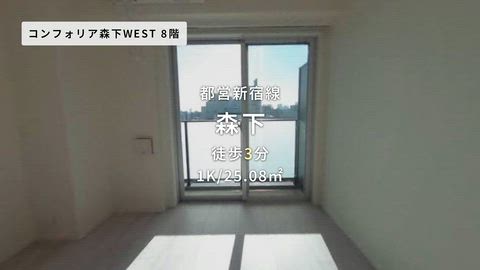 動画