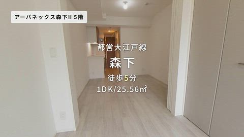 動画
