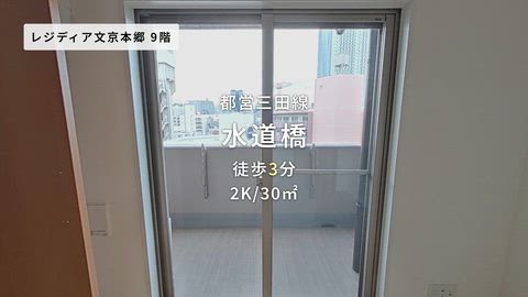 動画
