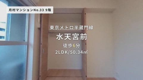 動画