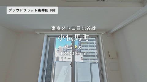動画