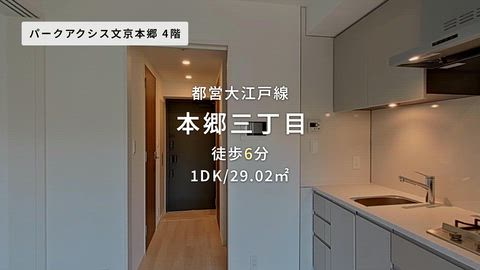 動画