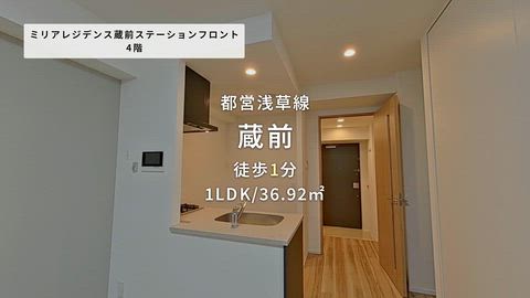 動画