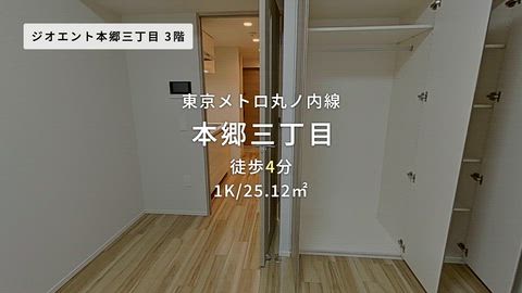 動画