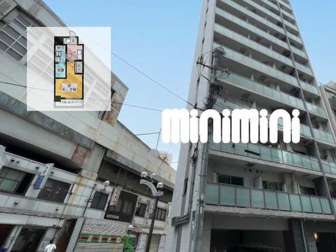 動画