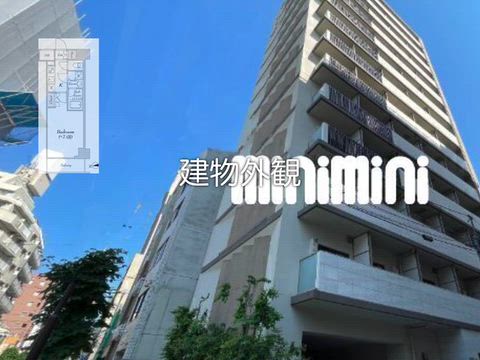 動画