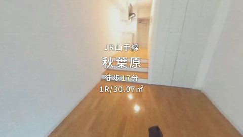 動画