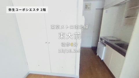 動画
