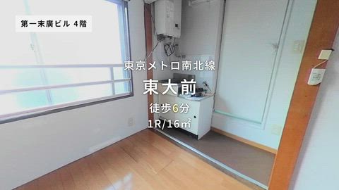 動画
