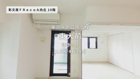紹介ムービー