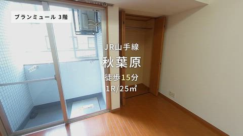 動画