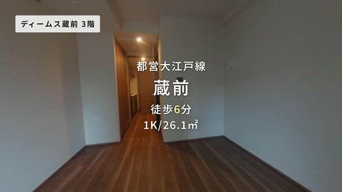 動画