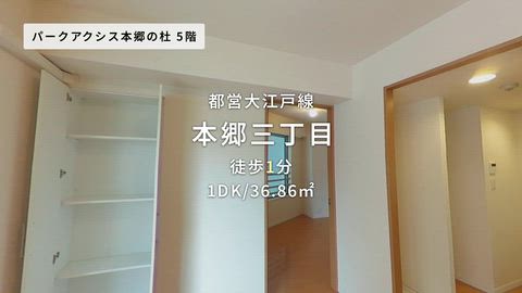 紹介ムービー