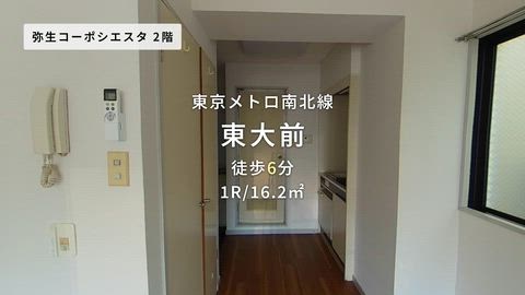 紹介ムービー