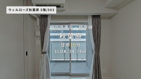 動画