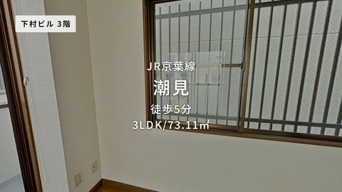 動画
