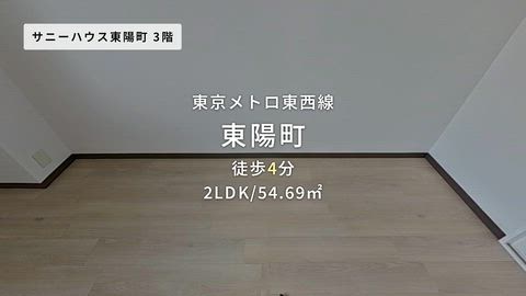 動画