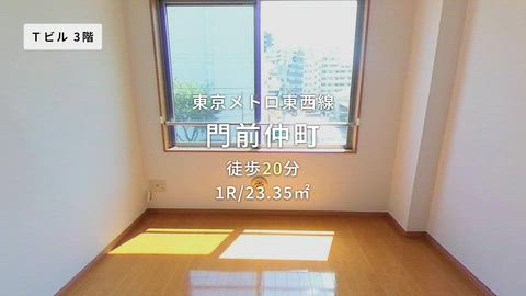 動画