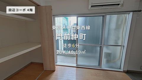 動画