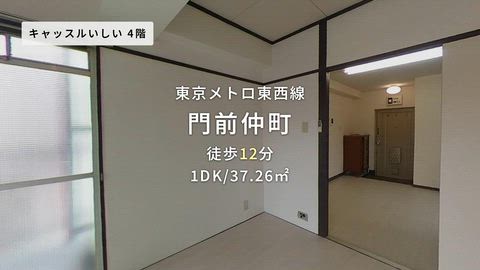 動画