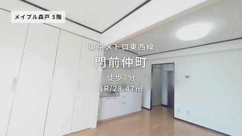 動画
