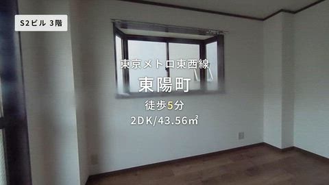動画