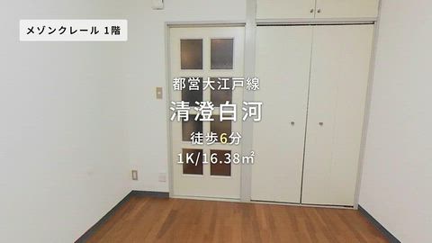 動画