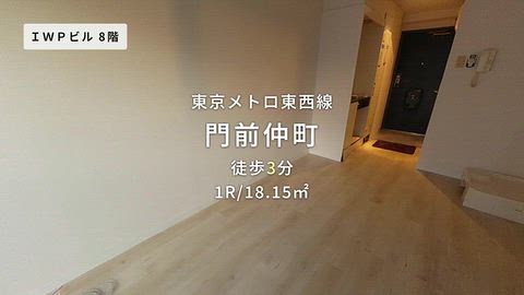 動画