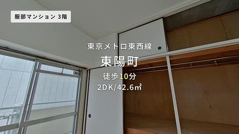 動画