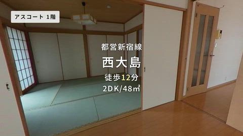 紹介ムービー
