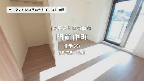 動画