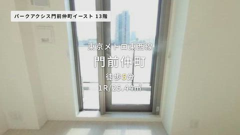 動画