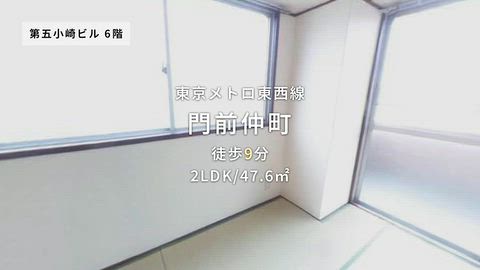 動画