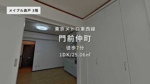 動画