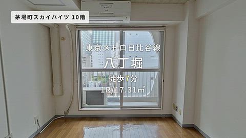動画