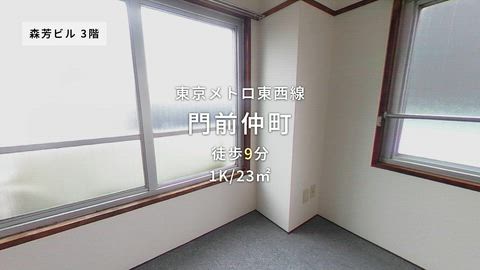 動画