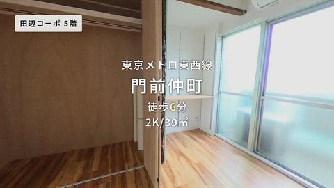動画