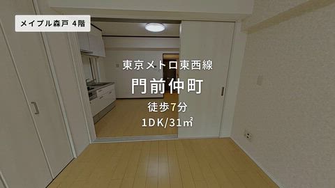 動画