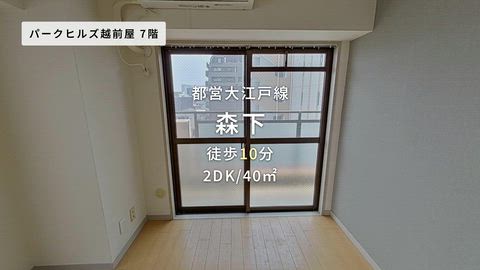 動画