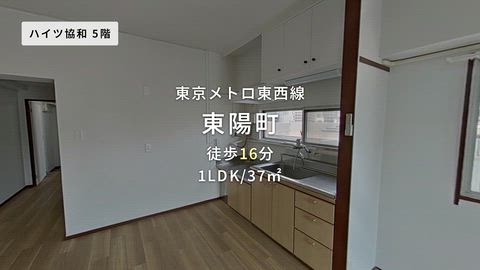動画