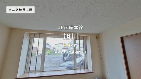 動画