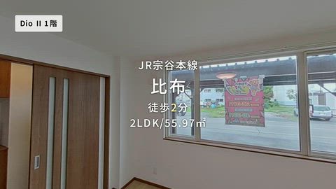 動画