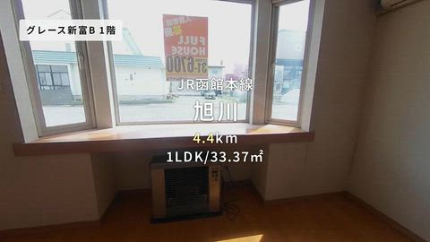 動画
