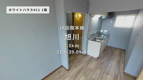 動画