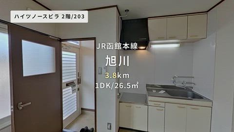 動画